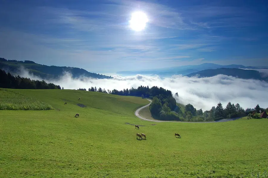 Vabljeni k oddaji turističnih paketov za brezplačno promocijo v digitalnih kampanjah STO