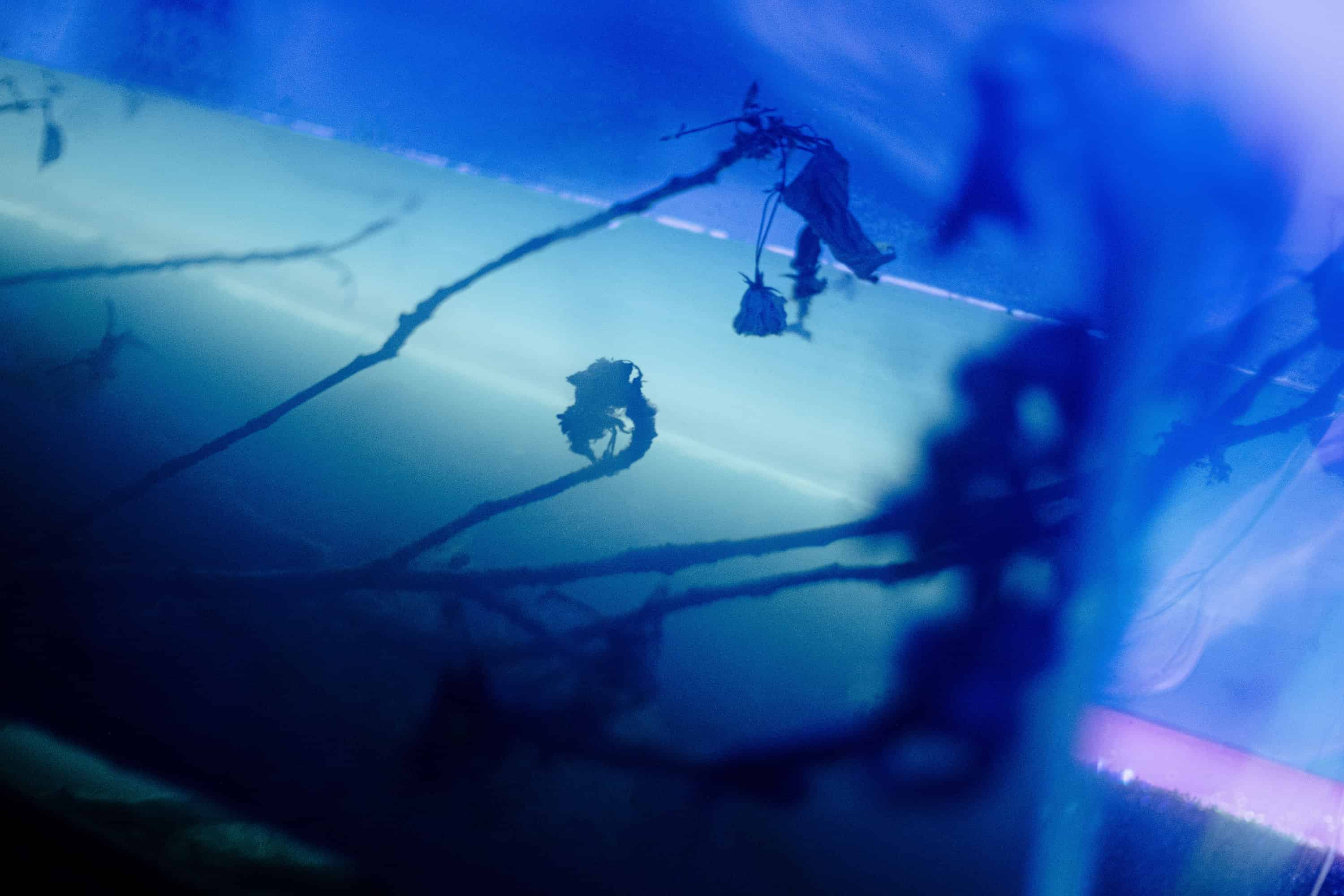 Galerija Ravne vabi na odprtje razstave Isidore Todorić: Vsi psi gremo v raj