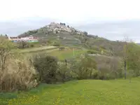 Turistični razgledi čez mejo: Motovunska pomladna bahatost