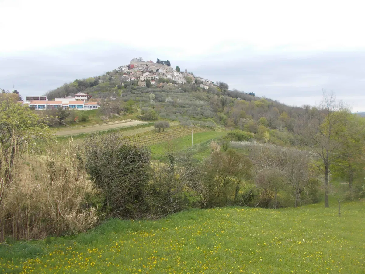 Turistični razgledi čez mejo: Motovunska pomladna bahatost