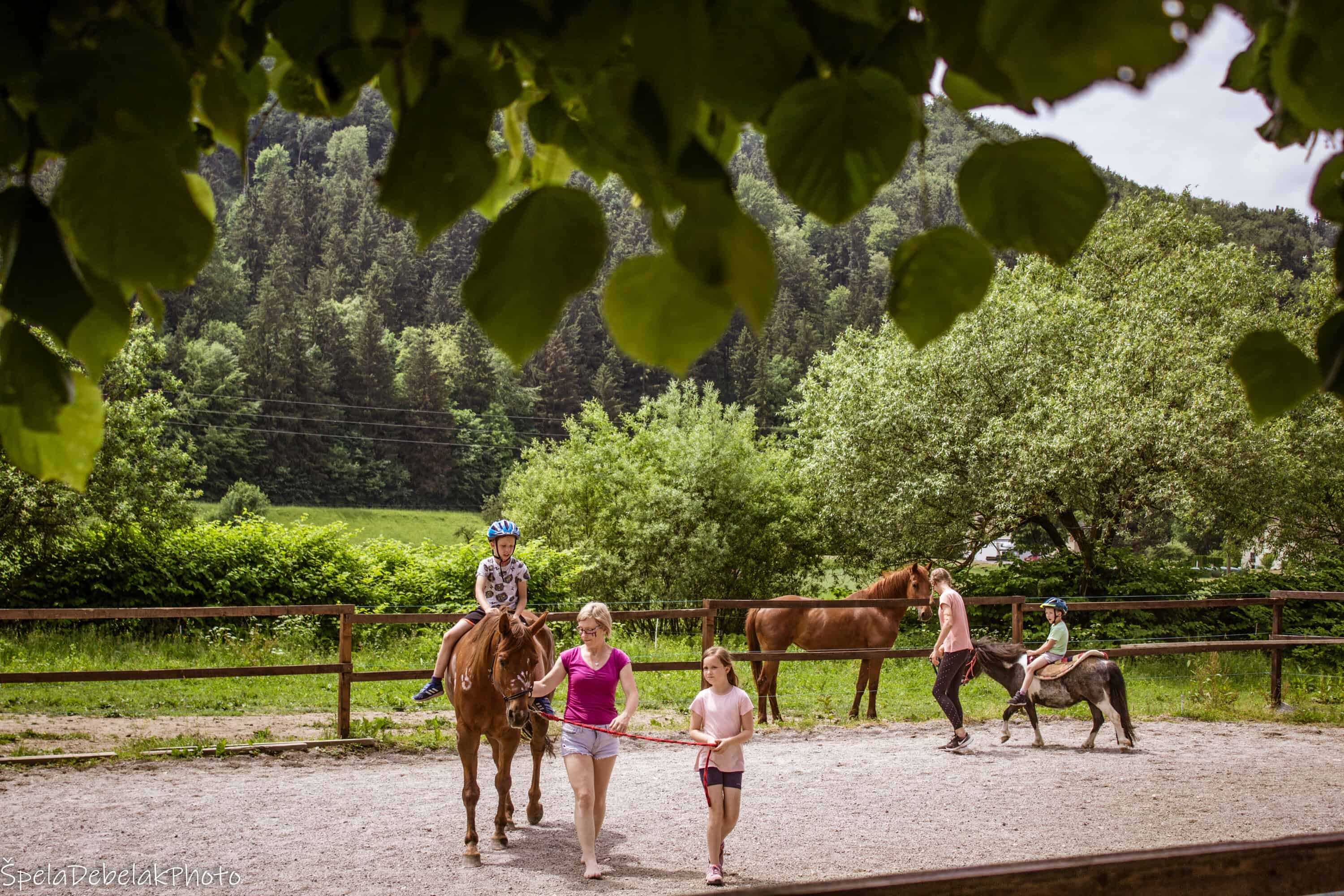 Ranč Foltan praznuje svoj prvi rojstni dan