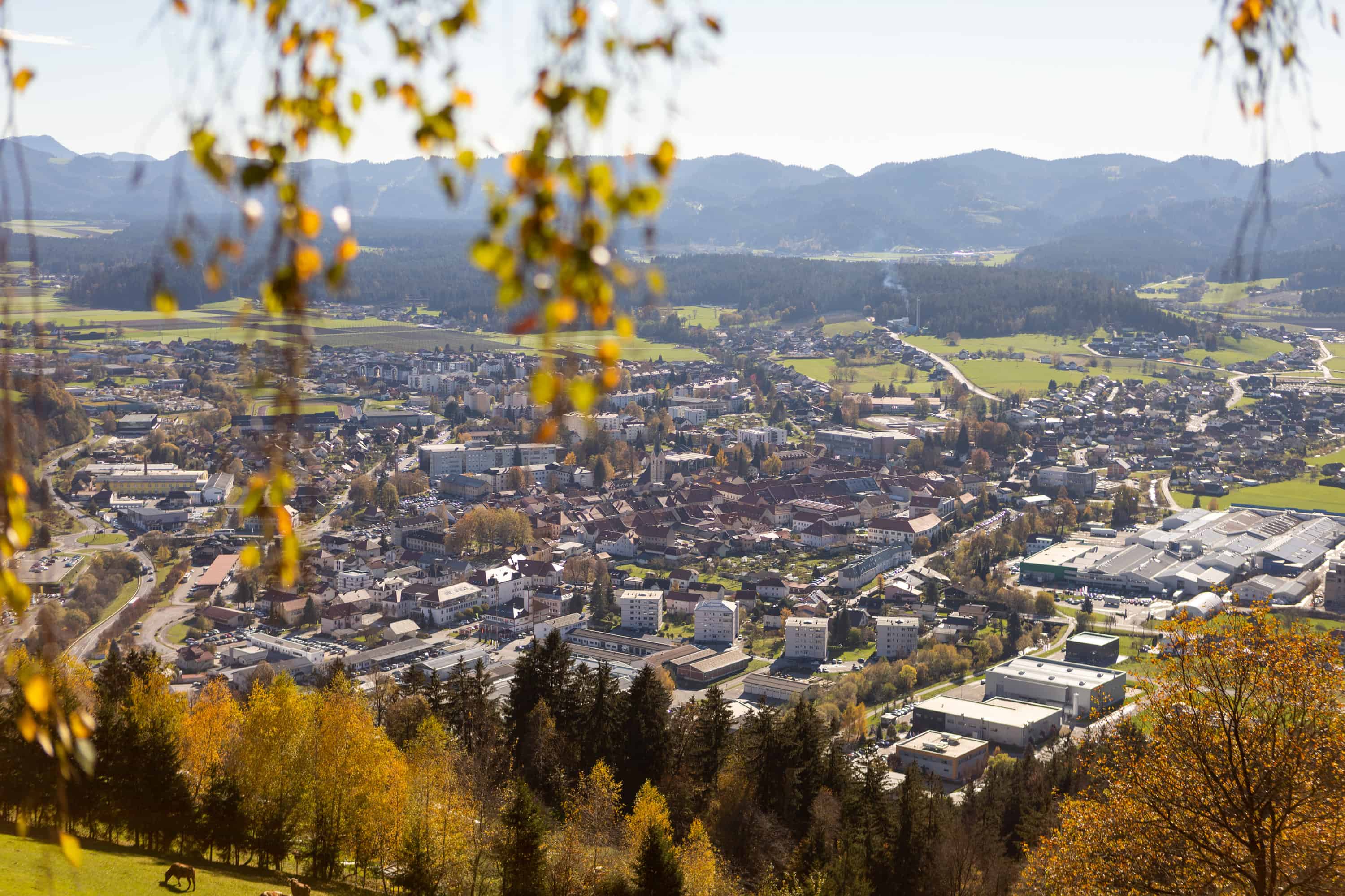 Zaživeli so novi družabni prostori za mlade v Slovenj Gradcu