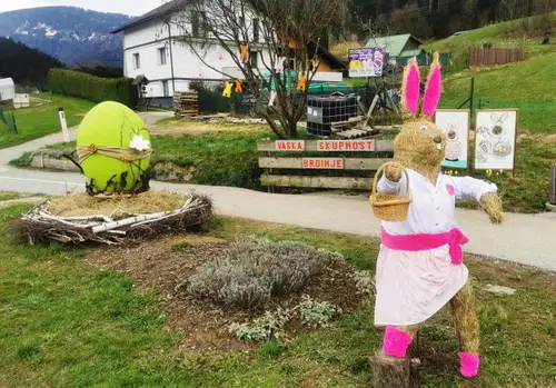 Na Brdinjah vas pričakuje zajčica Rozi
