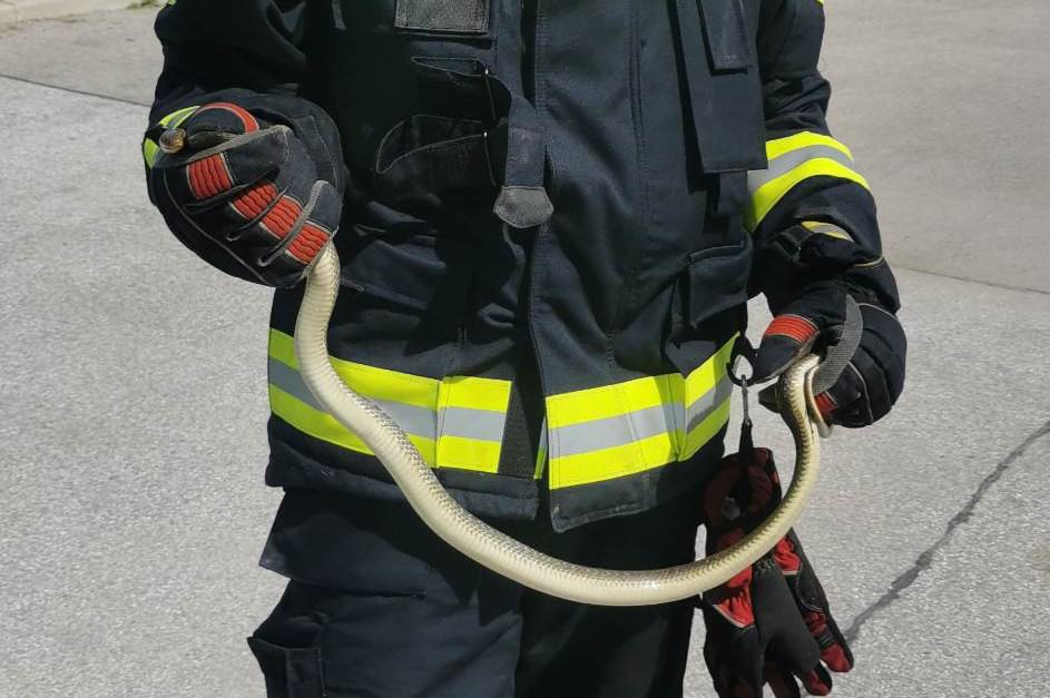 Za gasilci še ena uspešna intervencija