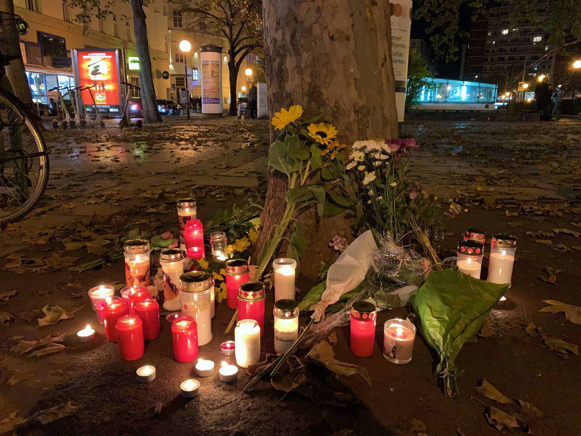 V zvezi z napadom na Dunaju Slovenec obsojen na pogojni zapor