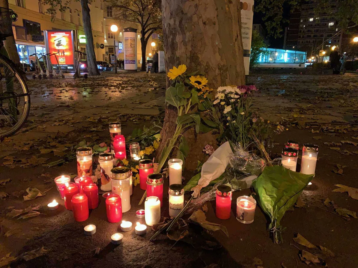 V zvezi z napadom na Dunaju Slovenec obsojen na pogojni zapor