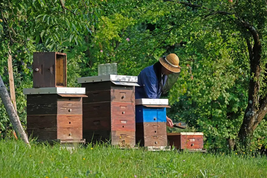 V Berlinu razstava o slovenskem čebelarstvu