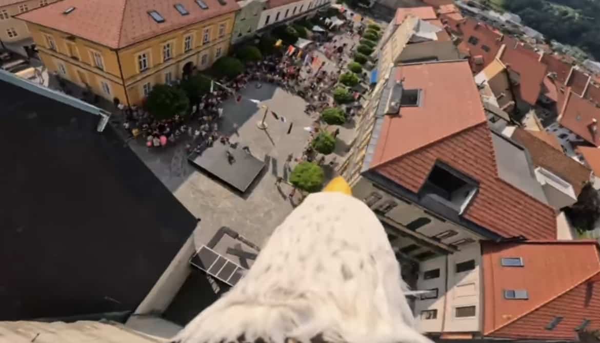 VIDEO: Tako je orel na Srednjeveškem preludiju videl Slovenj Gradec
