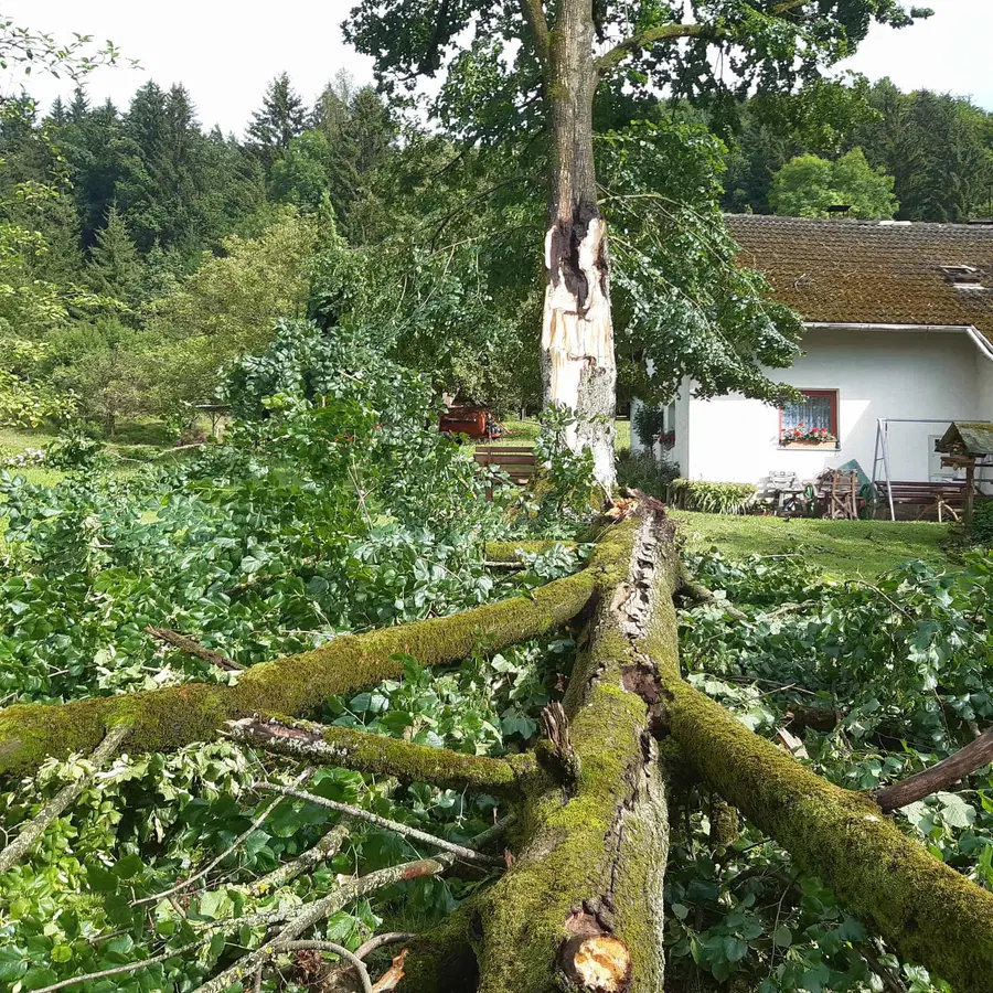 FOTO: Huda ura na Koroškem - veter spet podiral drevje