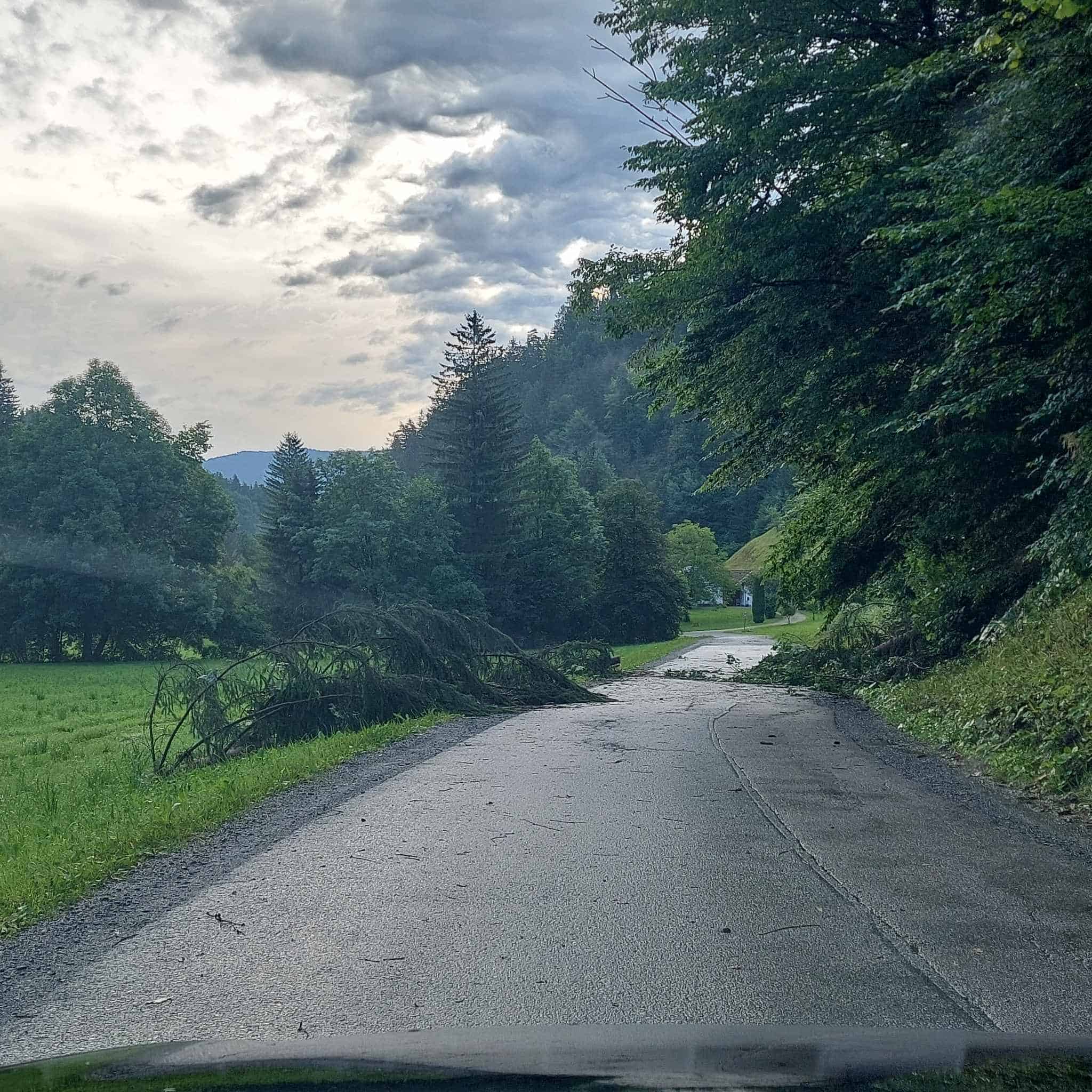 Močno neurje podiralo drevesa in odkrivalo strehe po celi Koroški