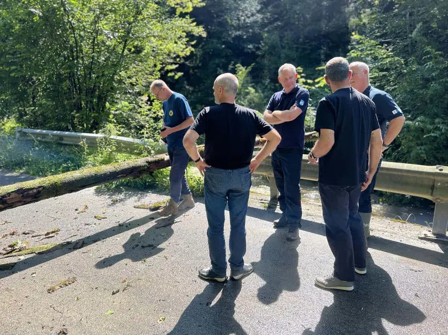 VIDEO: Med obiskom ministra v Suhem dolu padlo drevo na cesto