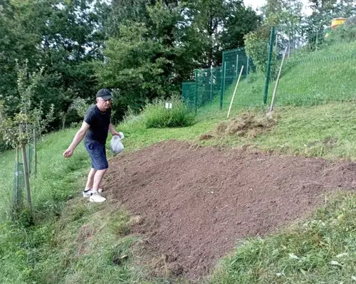 Čebelarsko društvo Ravne na Koroškem skupaj s ŠK Ajdovo strnišče posejalo ajdo