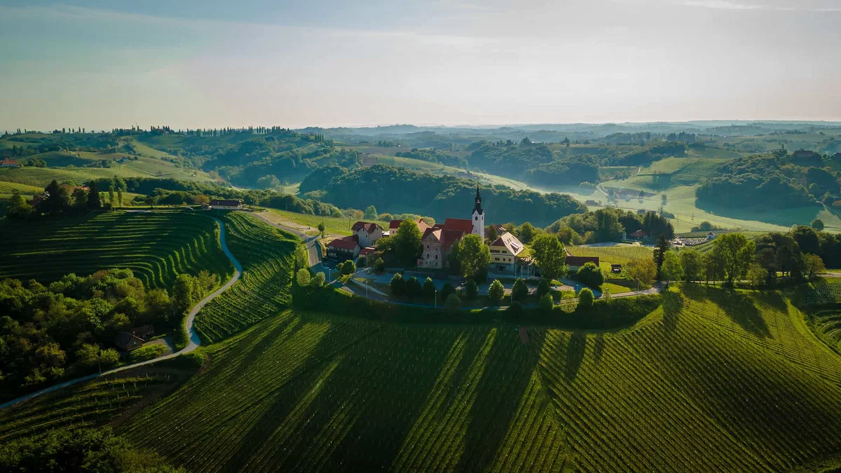 V Hiši Pep's vas bodo razvajali s pristno kulinariko in odličnimi vini