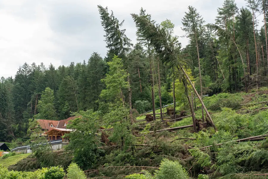 Za Koroško izdano oranžno opozorilo zaradi močnega vetra