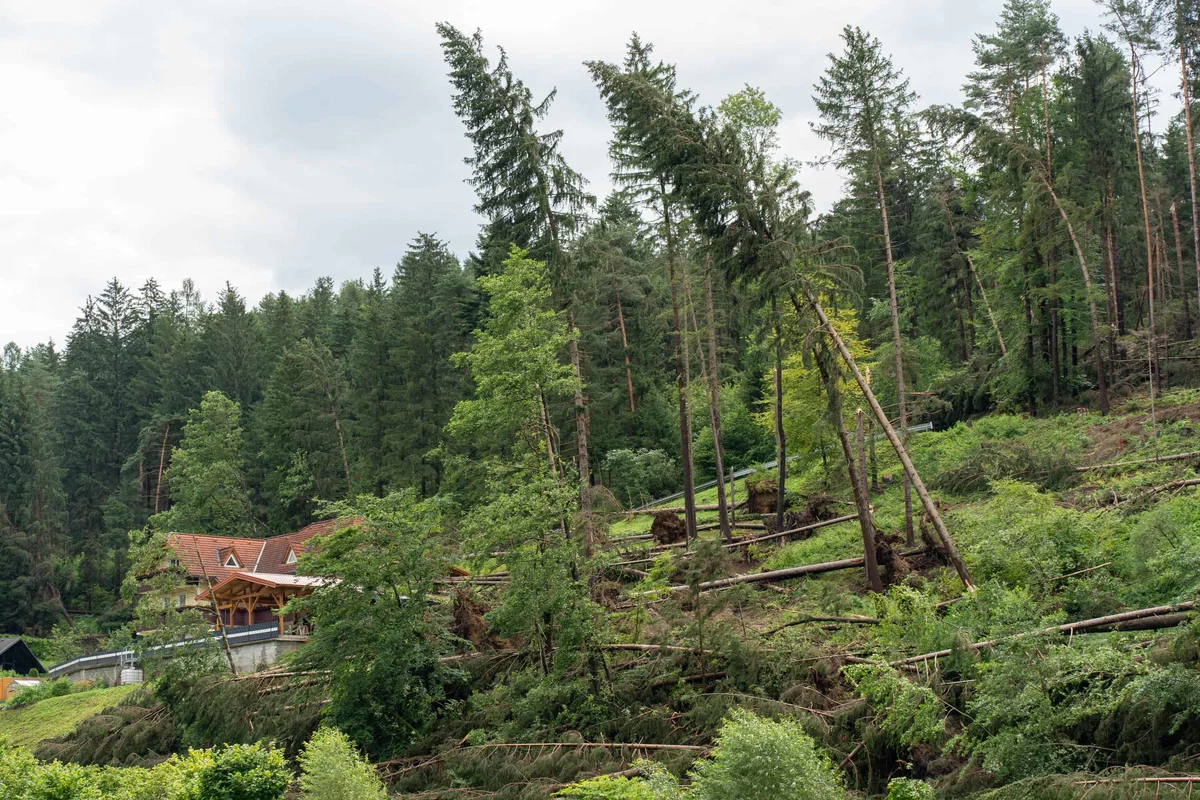 Za Koroško izdano oranžno opozorilo zaradi močnega vetra