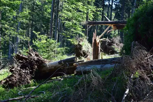 Planinska pot med Pastirskim stolom in Črnim vrhom je zaprta