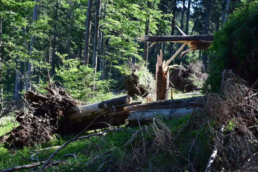 Planinska pot med Pastirskim stolom in Črnim vrhom je zaprta