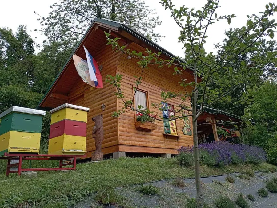 Čebelarsko društvo Ravne na obisku v Šmihelu v Avstriji