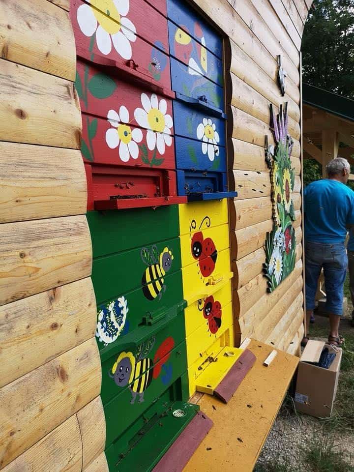 Ob svetovnem dnevu čebel: Čebele niso le del naše tradicije, ampak ključne za obstoj življenja na Zemlji