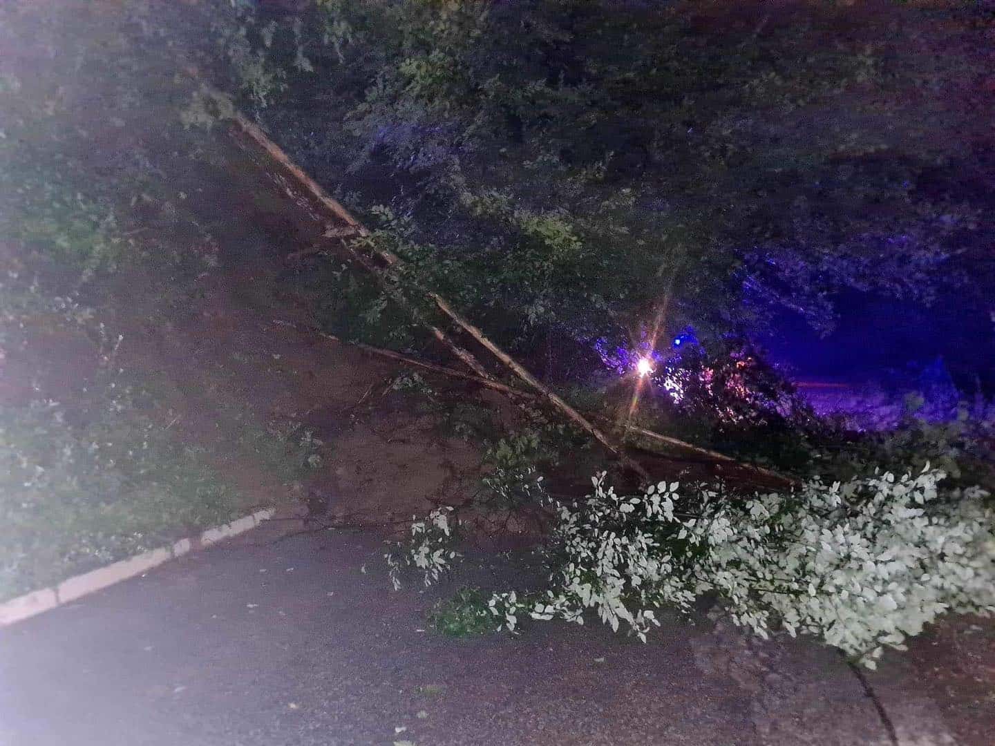 Obvestilo: Zaradi posledic neurja je popolna zapora cesti na relaciji Prevalje  - Leše ter Črna na Koroškem - Šoštanj