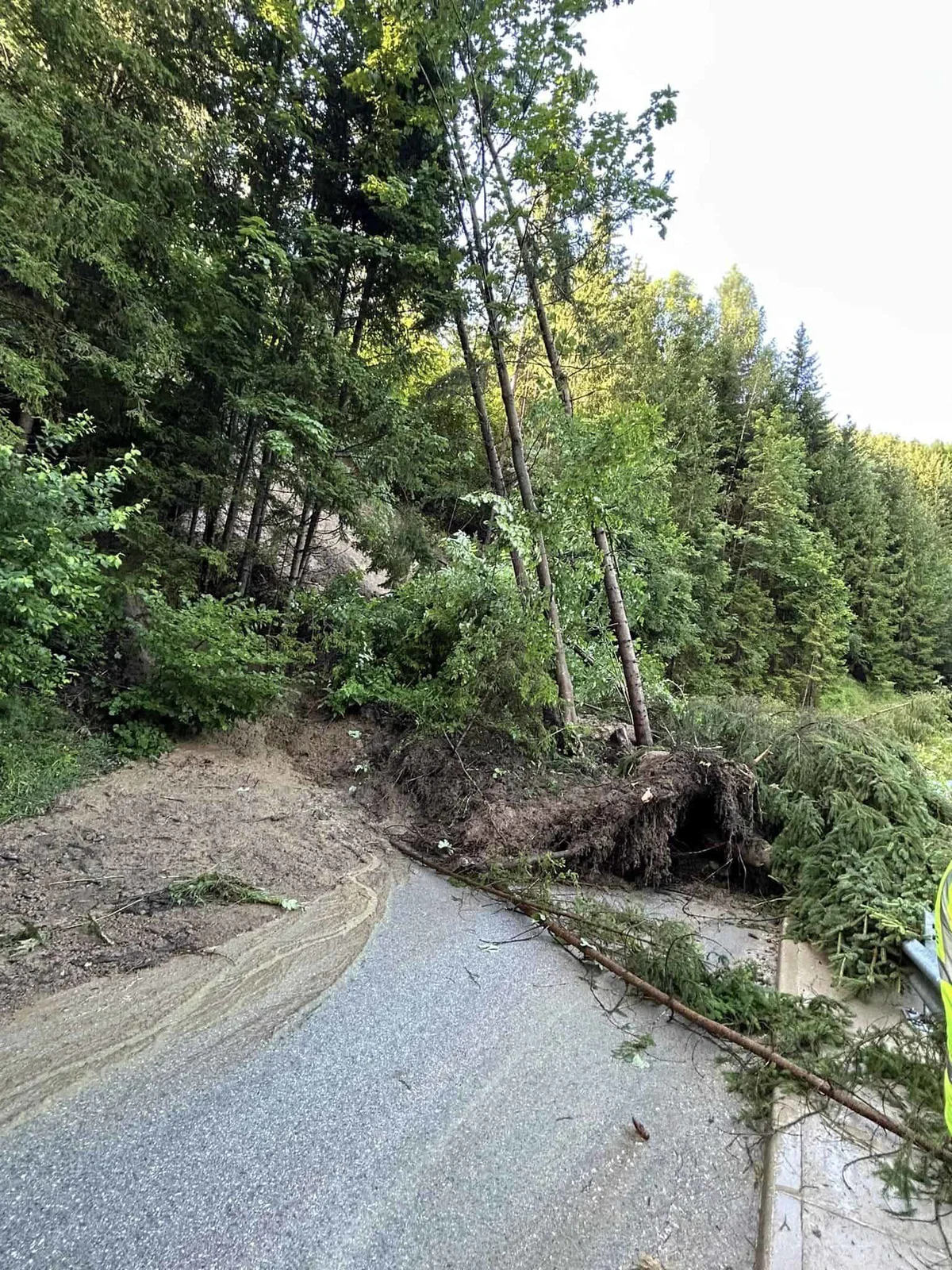 Občina Prevalje obvešča lastnike zemljišč ob kategoriziranih občinskih cestah
