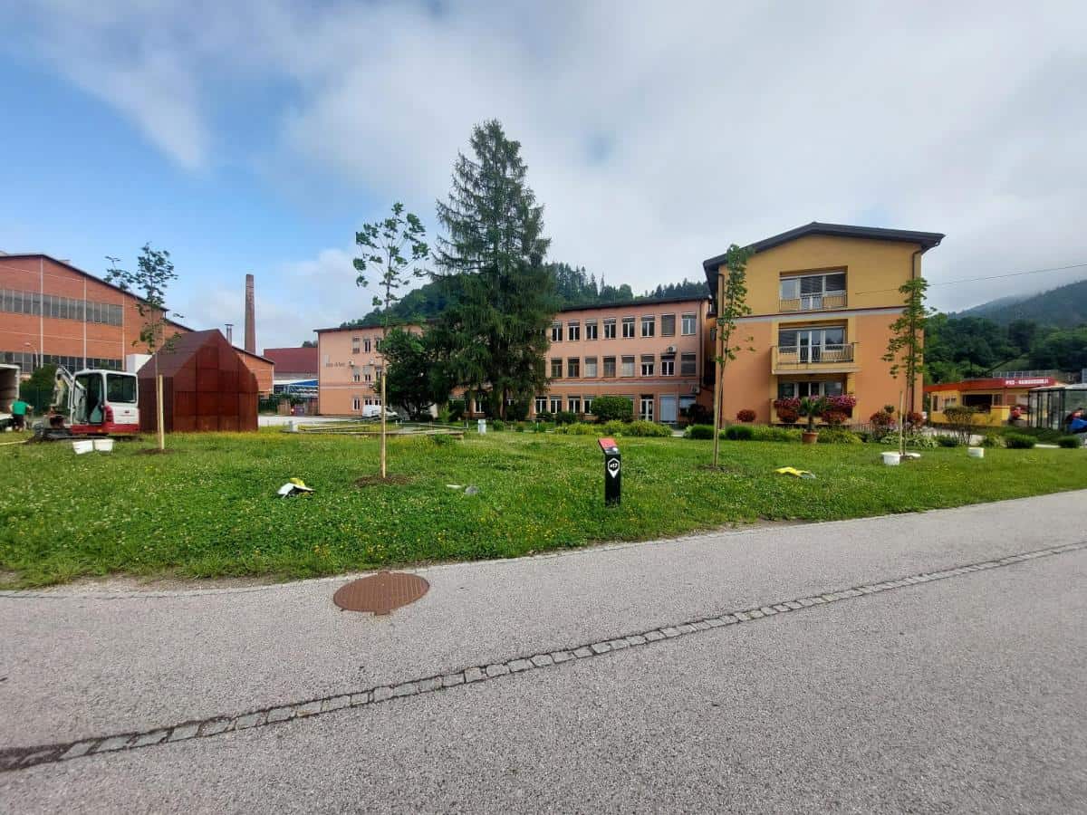 Na Ravnah so zasadili šest dreves ostrolistnega javorja, ker jim je mar za zelene Ravne