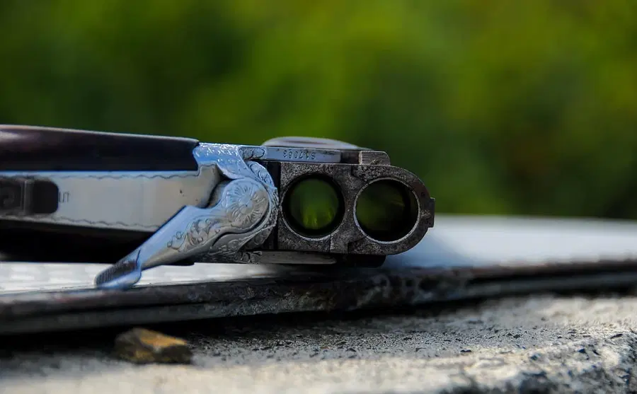 V nedeljo bo na Muti organiziran lov, LD Muta prosi za izogibanje območju