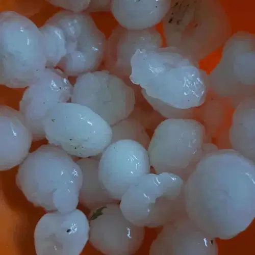 Včerajšnje neurje postreglo s točo, toča tudi danes