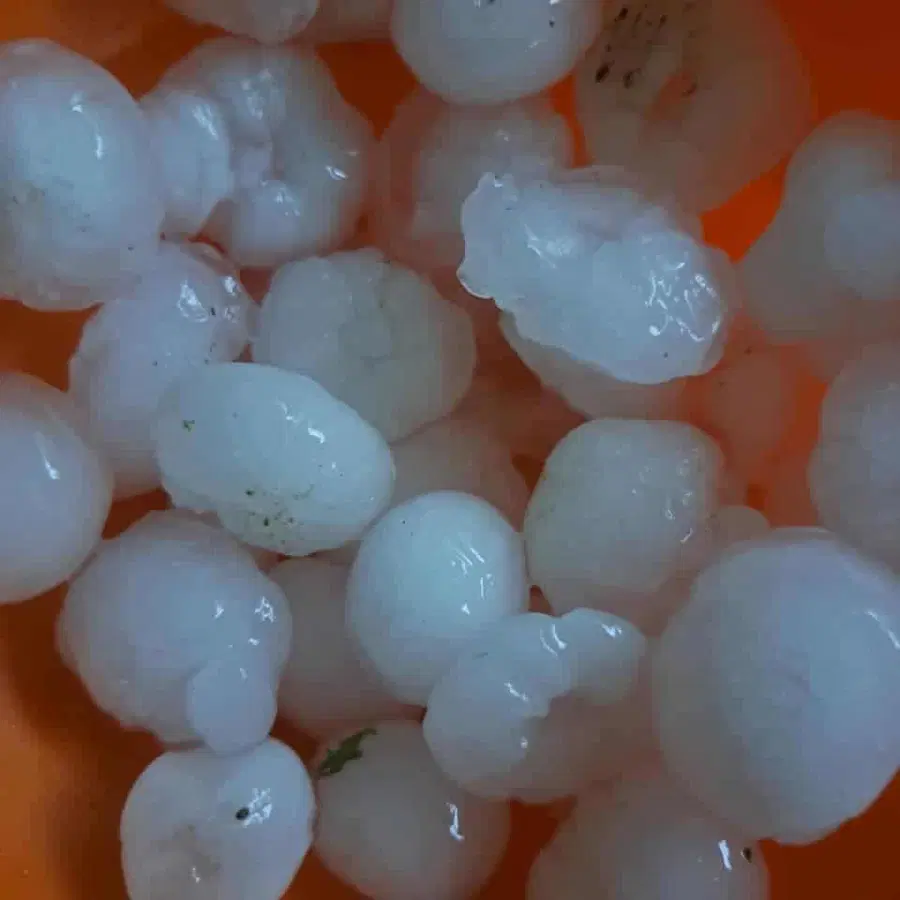 Včerajšnje neurje postreglo s točo, toča tudi danes