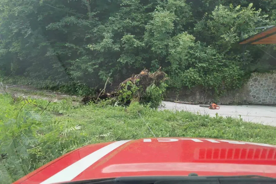 VIDEO in FOTO: Četrtkove nevihte s točo povzročile številne nevšečnosti na Koroškem
