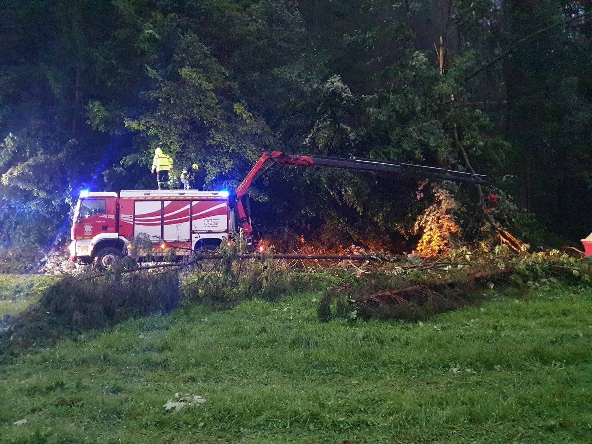 Na Koroškem vnovič podiralo drevesa, zaprtih več lokalnih cest