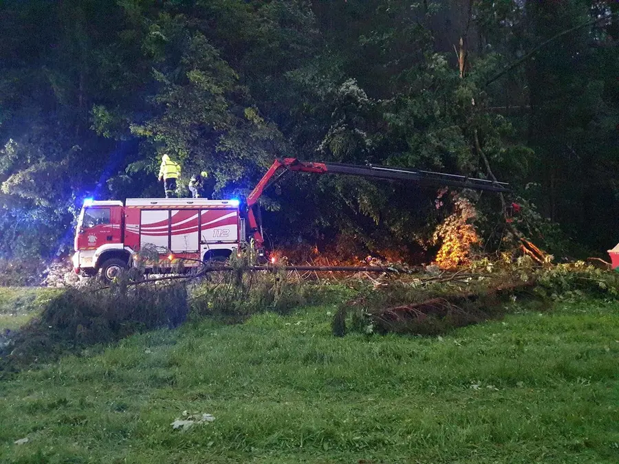Na Koroškem vnovič podiralo drevesa, zaprtih več lokalnih cest
