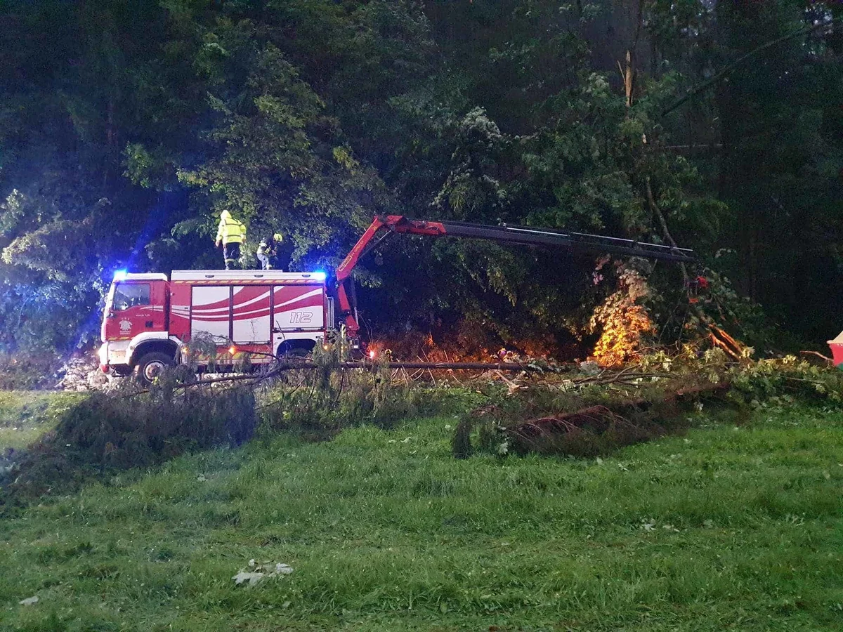 Na Koroškem vnovič podiralo drevesa, zaprtih več lokalnih cest
