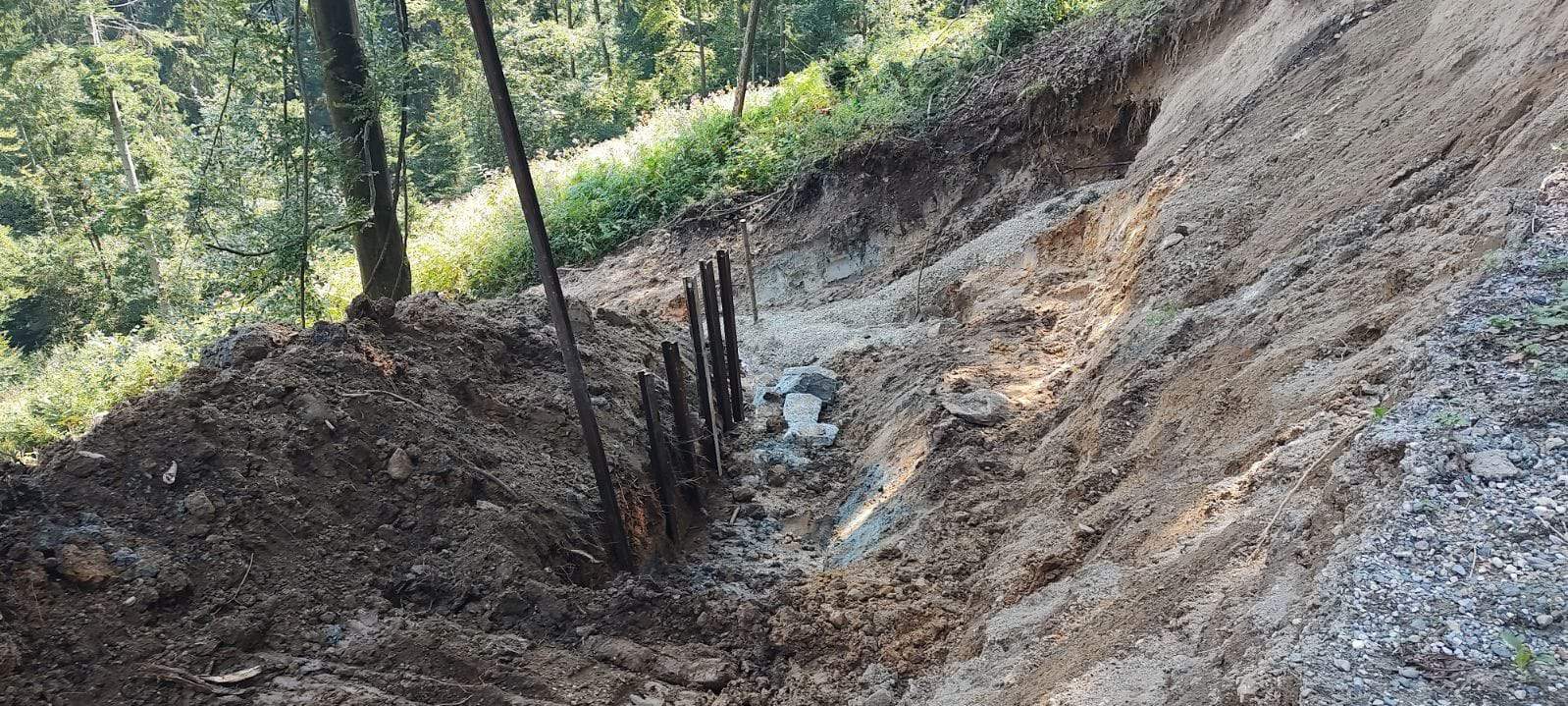 Avgusta z SMS-donacijami zbrali rekorden znesek