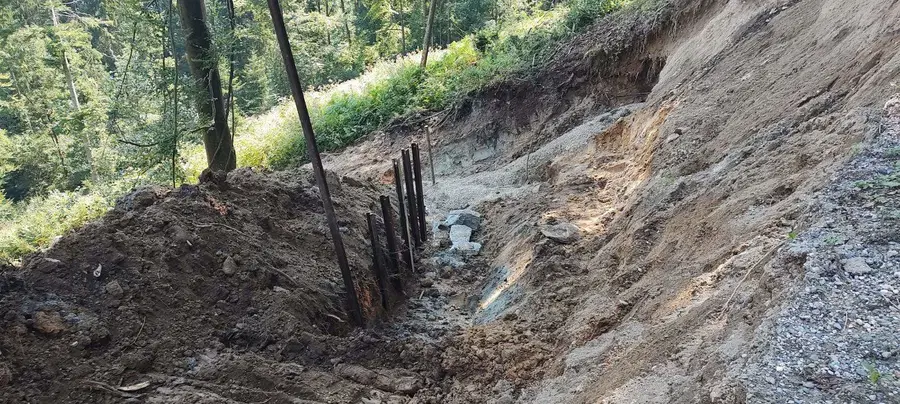 Avgusta z SMS-donacijami zbrali rekorden znesek