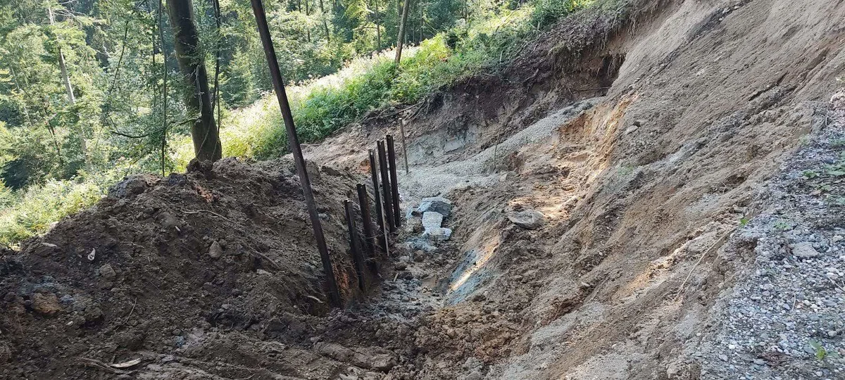 Avgusta z SMS-donacijami zbrali rekorden znesek