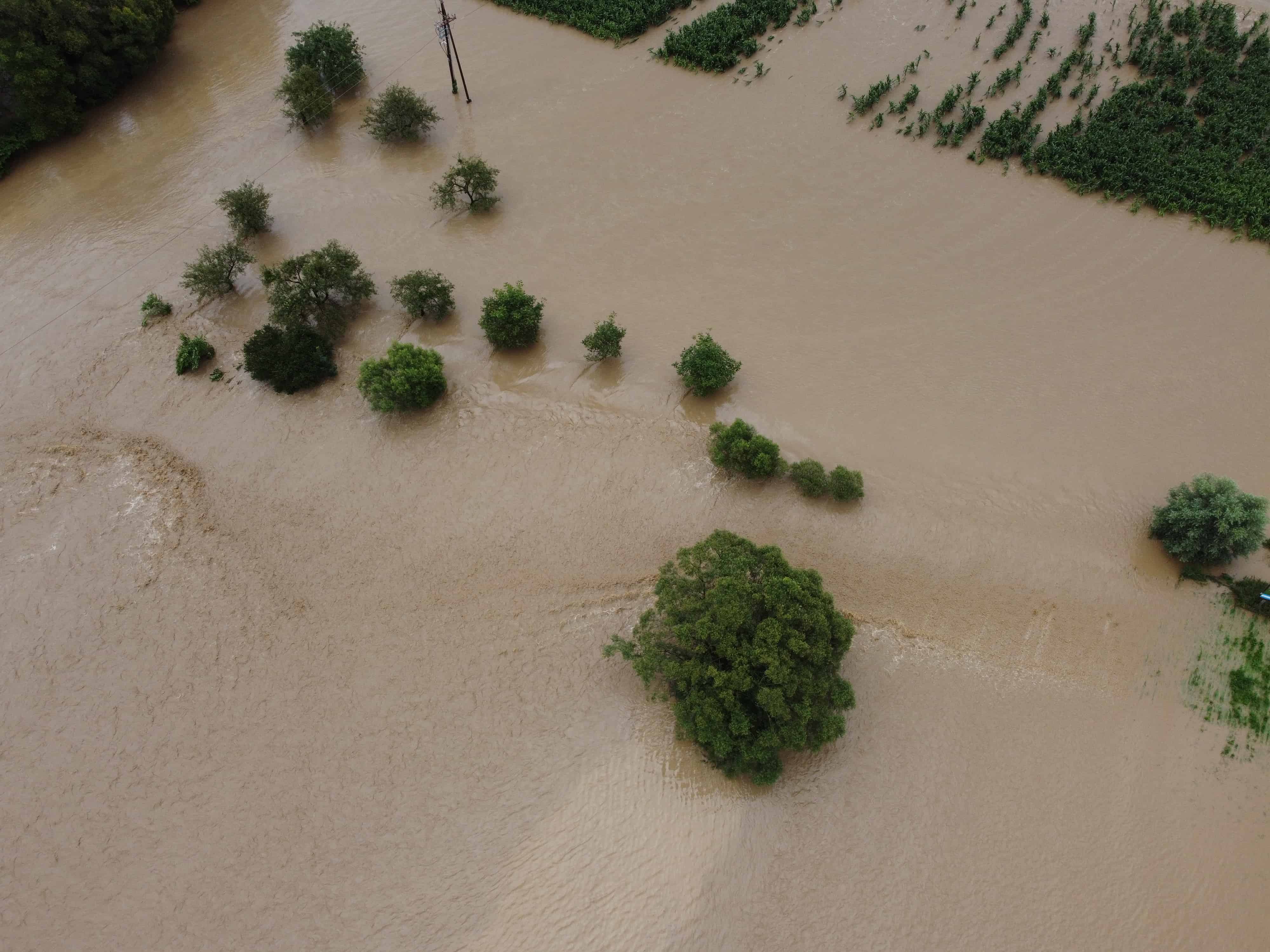 Pretok Drave je izredno velik, a sodeč po napovedih bo kmalu še večji