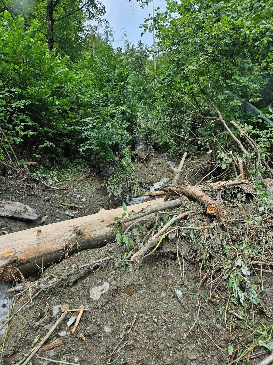V občini Dravograd zaradi sproženih novih plazov zaprtih več cest in evakuirano večje število prebivalcev