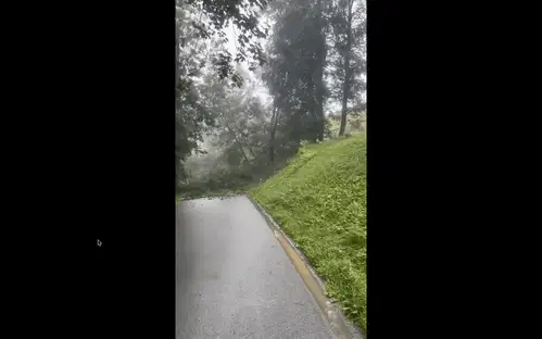 VIDEO: Neverjeten posnetek plazu na Graški Gori