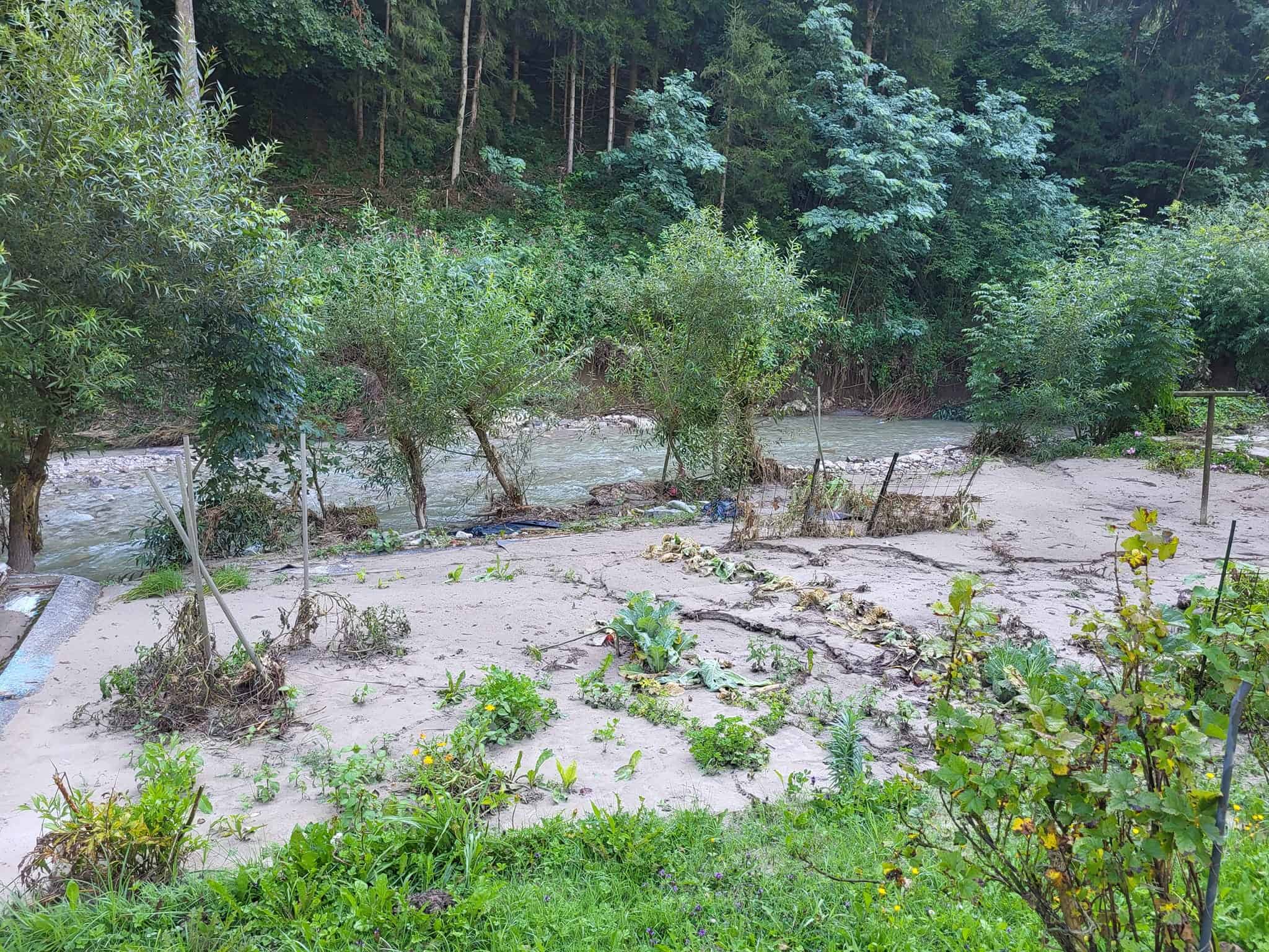 Župan dr. Tomaž Rožen: Ravne bomo čim prej postavili na noge (FOTO)