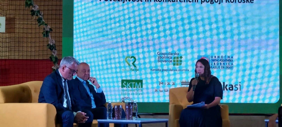 Razvoj Koroške je odvisen predvsem od izgradnje hitre ceste