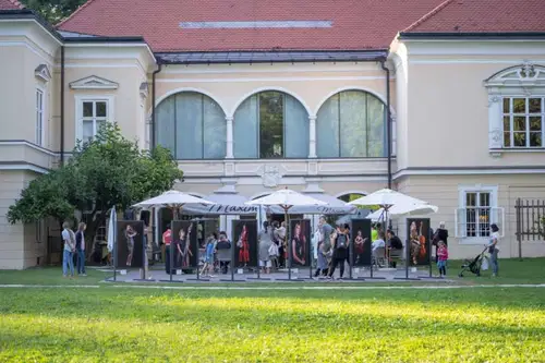 V okviru dogodkov 19. FSJ tudi odprtje razstave ''Orion, saksofon, mesec, kontrabas''