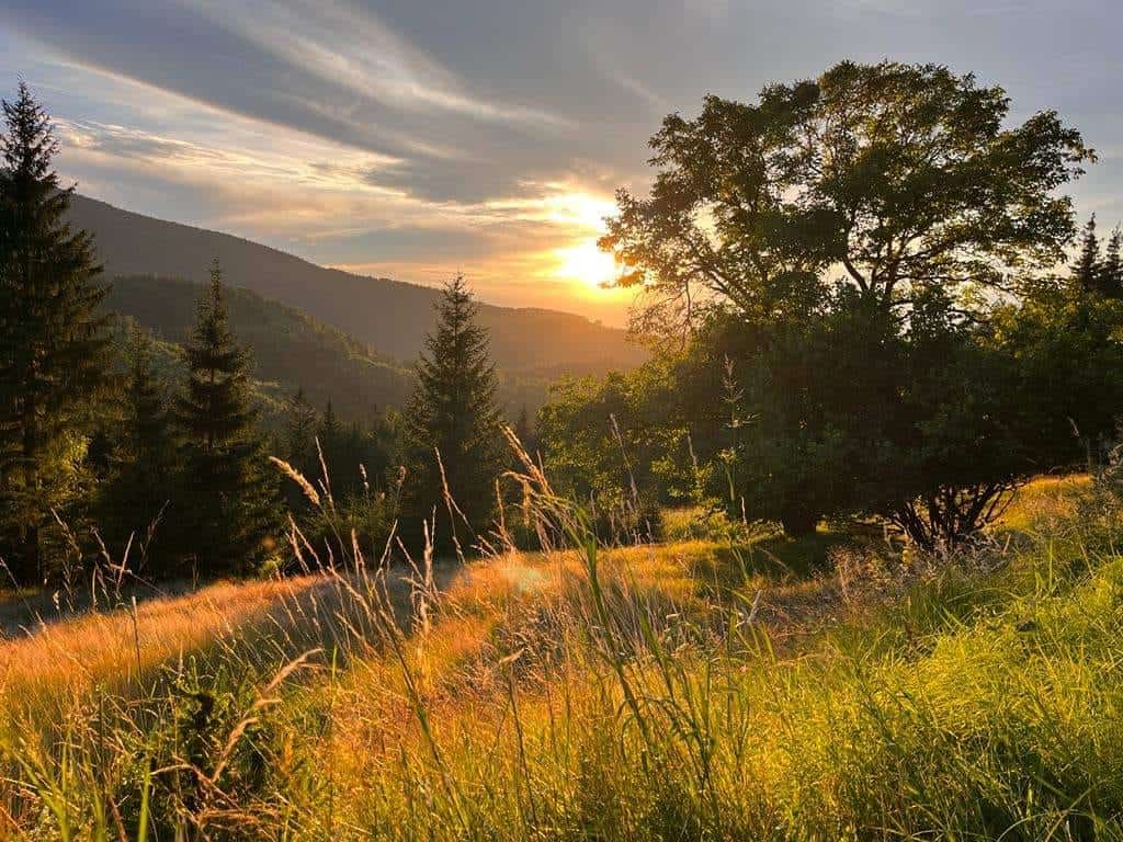 Izkoristite lep sončen dan, kmalu prihajajo ohladitve