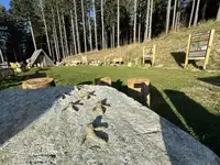 Ministrstvo odobrilo evropska sredstva za ohranjanje narave in obnovo ogroženih habitatov na Pohorju