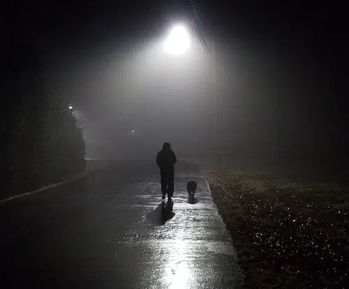 Pešec, bodi viden, bodi previden! Danes se pričenja preventivna akcija za večjo varnost pešcev
