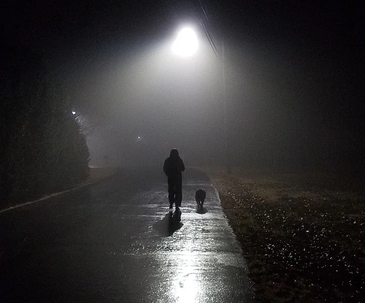 V enotedenskem poostrenem nadzoru pri pešcih in voznikih ugotovili 2194 kršitev