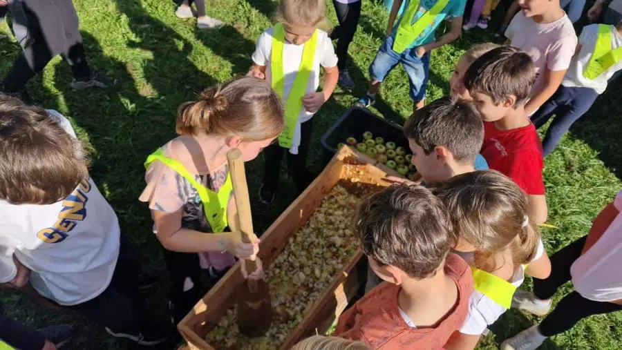 FOTO: Pri Prežihovi bajti so tradicionalno prešali mošt