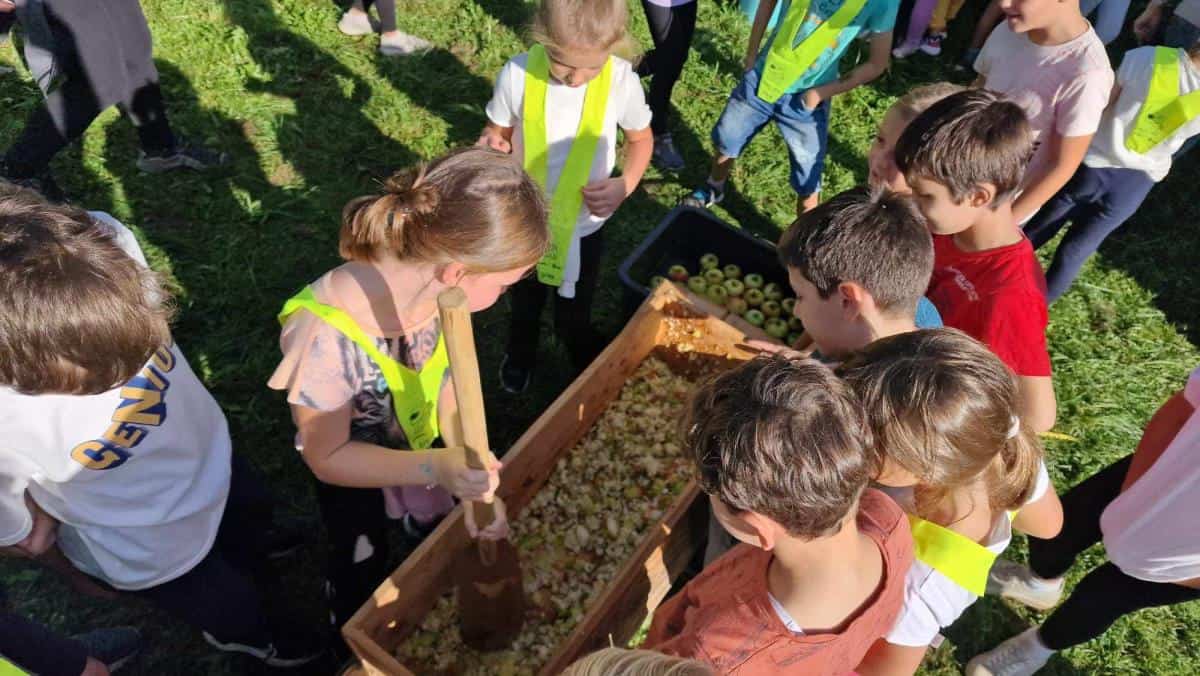 FOTO: Pri Prežihovi bajti so tradicionalno prešali mošt