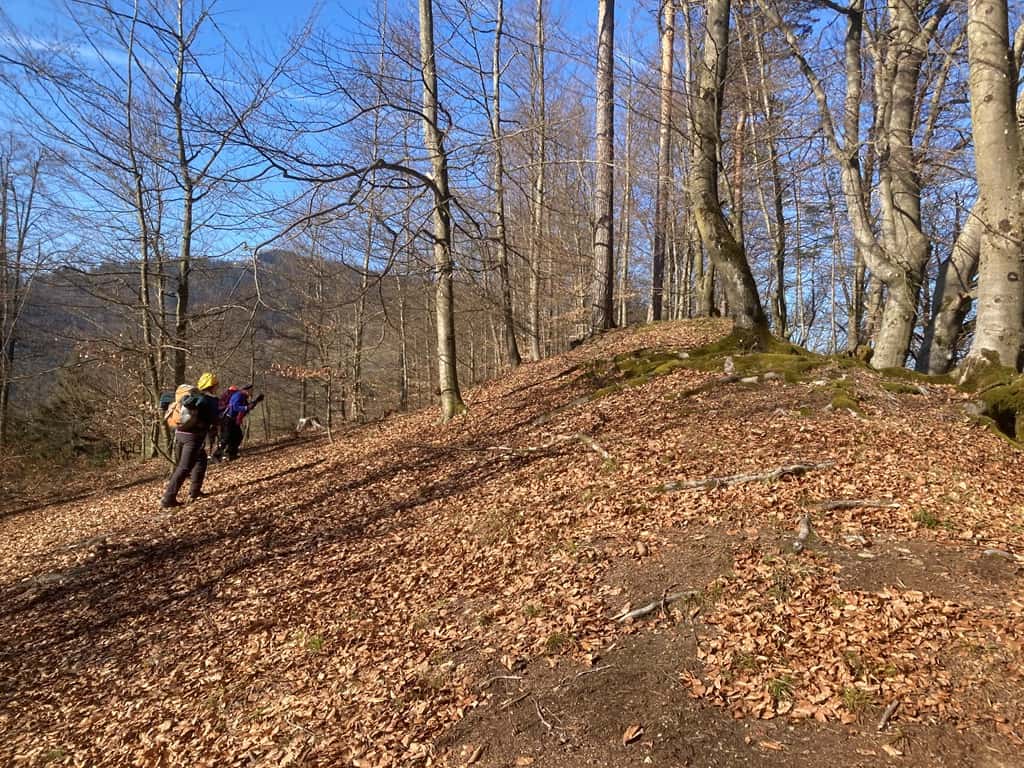 Vabljeni na pohod s Planinskim društvom Vuzenica