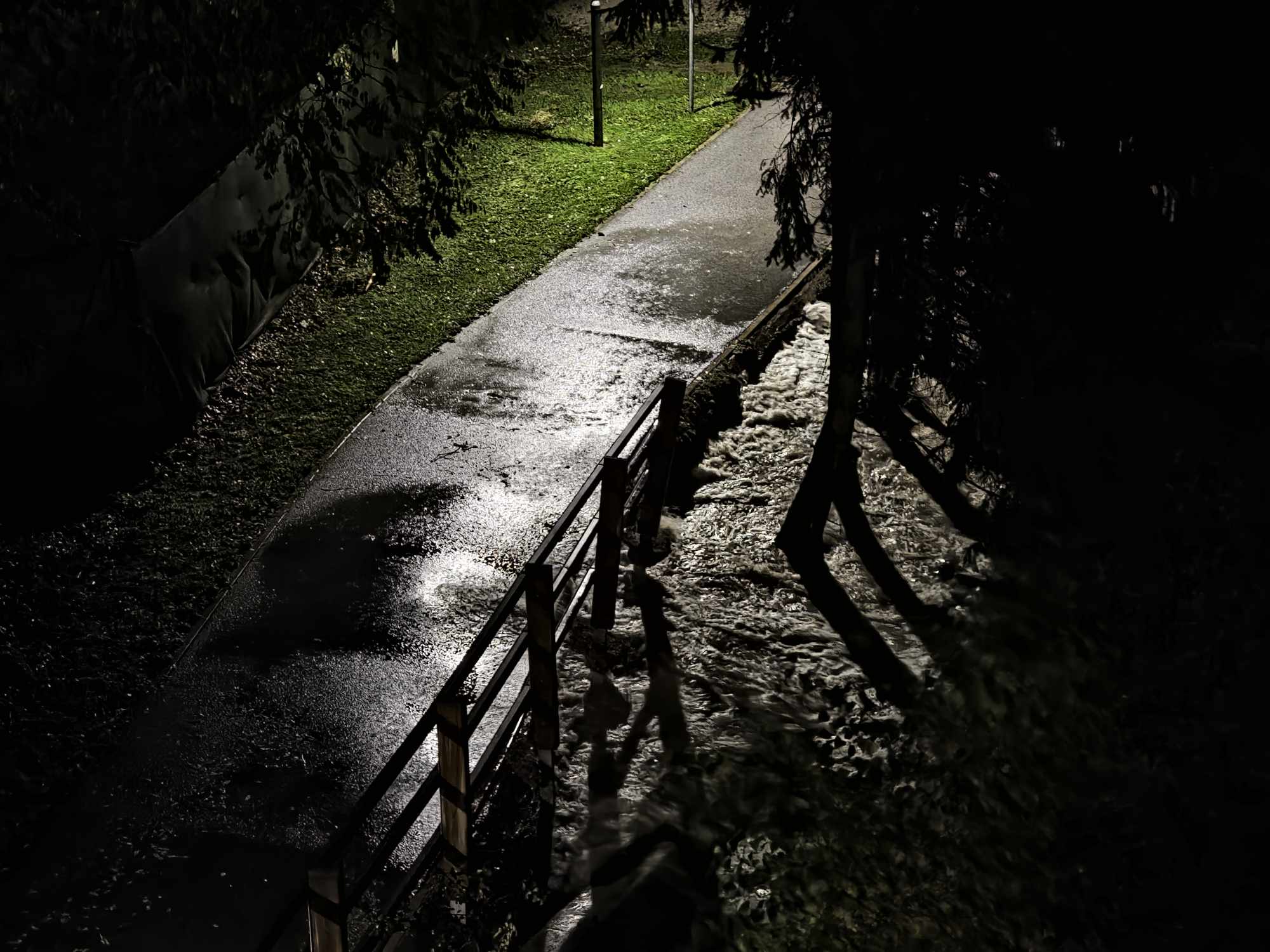 Letni pregled STA - dogajanje, ki je zaznamovalo leto 2023